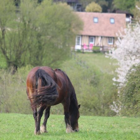 Gite A La Petite Bretonniere Saint-Pierre-Des-Ifs  Buitenkant foto