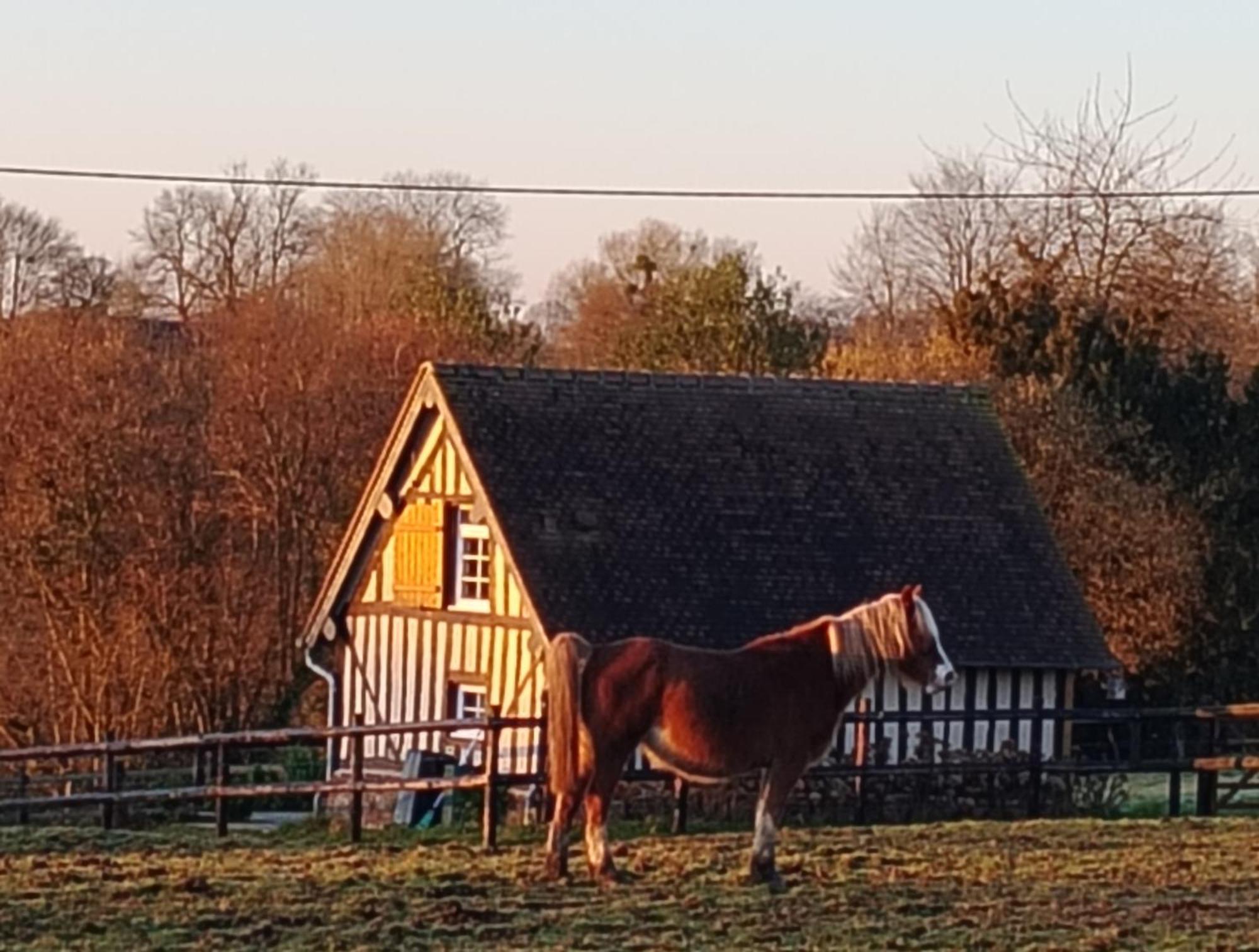 Gite A La Petite Bretonniere Saint-Pierre-Des-Ifs  Buitenkant foto